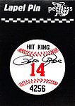 2014 QCN - 4256 Enterprises Baseball Pin.jpg