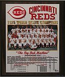 2005 J D Healy - World Series Championship 1975 Plaque.jpg