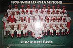 1975 Cincinnati Reds - Team Picture Poster - 1975 World Champions.jpg