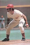 1978 Baseball Quarterly - Centerfold Poster.jpg