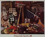 1991 Anaconda Sports - Sales Poster.jpg