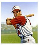 Miller Arthur K 1980 - Pete Rose.jpg