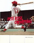 1985 Perigee Trade - Pete Rose on Hitting Store Display.jpg