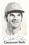 1971 Cincinnati Reds - Photo Card.jpg