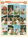 1971 Dell - Team Stamp - Sheet of 12 Stamps cut from Album.jpg