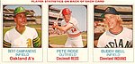 1975 Hostess - Three-Card Panel cut from Box 28-30.jpg