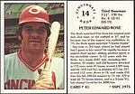 1975 SSPC - Card 41.jpg
