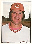 1978 SSPC - All Star Gallery Card.jpg