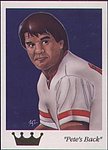 1992 Dynasty Sports Cards - Card - Petes Back 10.jpg