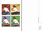 2008 Cincinnati Art Museum - Photo Card Small - Andy Warhols Pete Rose.jpg
