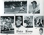 1978 Cincinnati Reds - Glossy Photo Collage.jpg