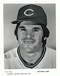 1978 Cincinnati Reds - Glossy Photo.jpg