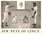 1978 Hafeli Dennis - Glossy Photo Collage Sir Pete of Cincy.jpg