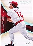 4192Cards
