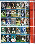 4192Cards